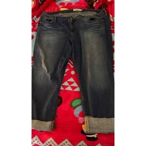 Torrid Jeans